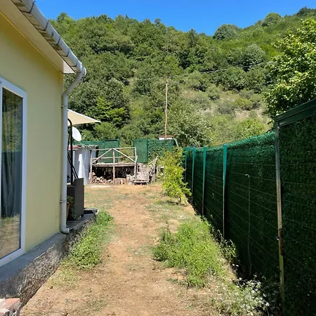 Doganin Kucaginda Huzurlu Kir Evi - Sile, Kabakoz * Ağva
