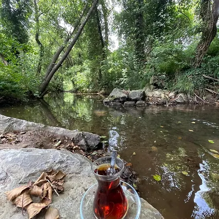 Σπίτι διακοπών Doganin Kucaginda Huzurlu Kir Evi - Sile, Kabakoz